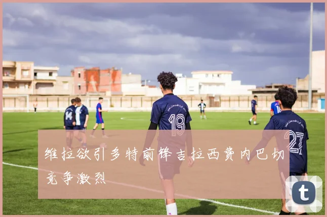 维拉欲引多特前锋吉拉西费内巴切竞争激烈