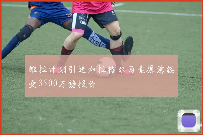 维拉计划引进加拉格尔马竞愿意接受3500万镑报价